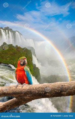  The Talking Parrot of Iguaçu Falls! A Sixth Century Brazilian Tale Filled with Adventure and Deception